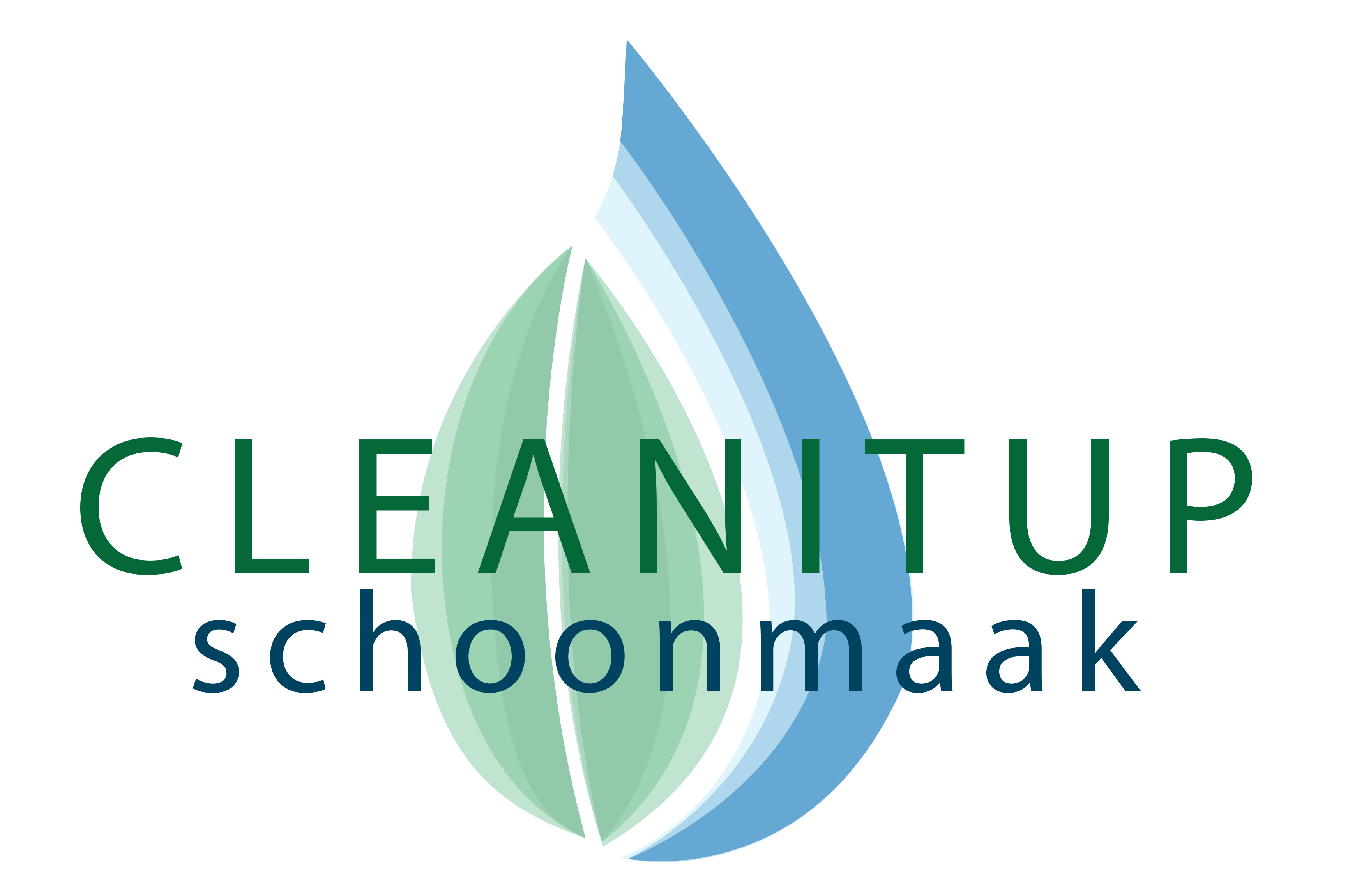 Logo cleanitup schoonnmaak